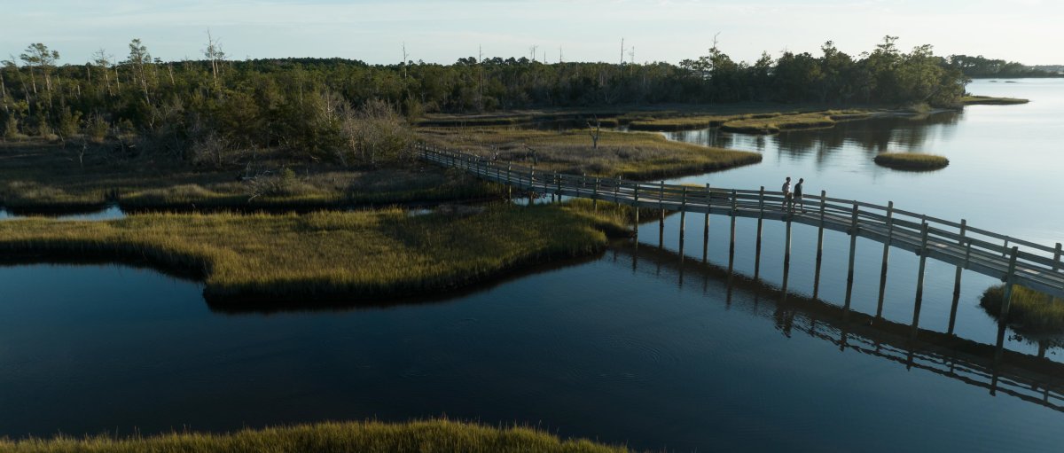 Aerial of national coastal forest with water, marshes and a wooden bridge